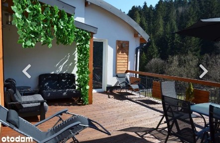 Widok na górę i las - bezpośrednio