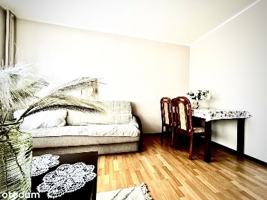 Do wynajęcia- mieszkanie w centrum Mławy, ul. Płocka