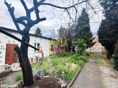 Dom do remontu w Centrum Włocławka !