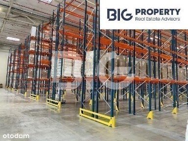 Chylonia, Gdynia, pomorskie