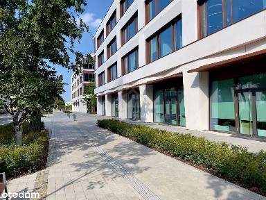 ul. Śląska, Działki Leśne, Gdynia, pomorskie