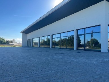 Lokal użytkowy lokale handlowo usługowe do wynajęcia wynajmę