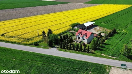 Brzeźno, Koneck, aleksandrowski, kujawsko-pomorskie