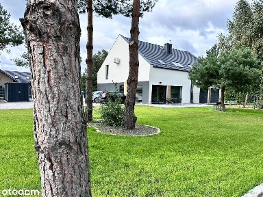 Górczyn, Gorzów Wielkopolski, lubuskie