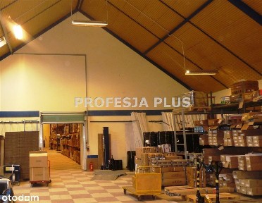 Magazyn/Hala, Chorzów, 800m2