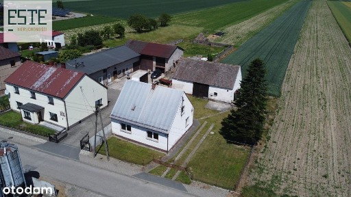 Nie za duży nie za mały lecz w sam raz