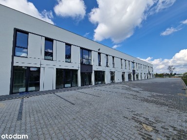 Świecie, świecki, kujawsko-pomorskie