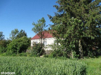 Urokliwe siedlisko w Spądoszynie nad Soną
