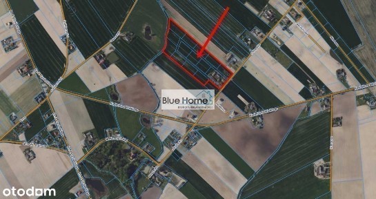 Siedlisko z dużą działką po podziale na mniejsze