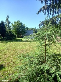 Przytulny dom w Żółwinie