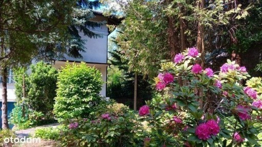 Marysin Wawerski, Wawer, Warszawa, mazowieckie