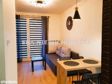 Kopernik-wysoki standard-bez Pcc winda Już