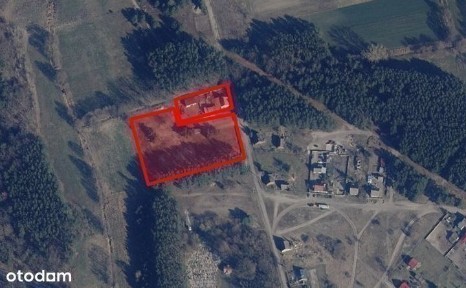 Dom z dużą działką w m. Brody