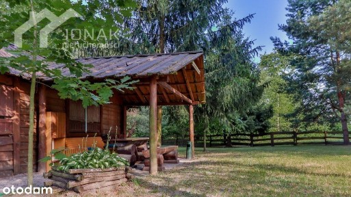 Domek nad Starorzeczem Bugu, obok gniazda żółwi