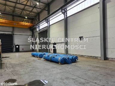 Kasprzaka, Tworzeń, Gołonóg Wschodni, Dąbrowa Górnicza, śląskie