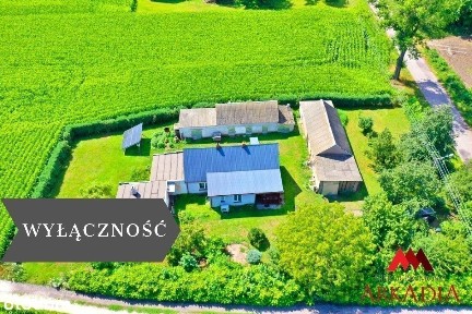 Dom z potencjałem/Bodzanowo