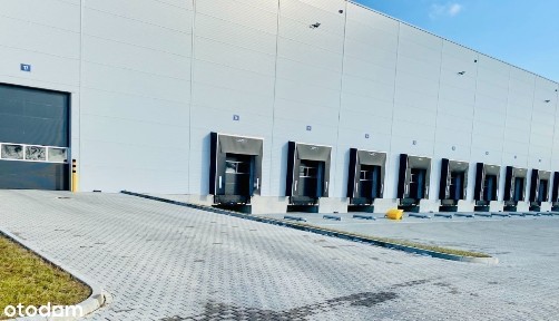 Magazyn A-klasa 2500 m2 Plewiska S11 A2! k. Poznań