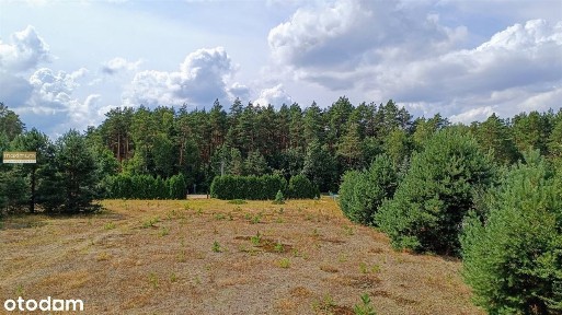 Przestronny dom 150 m2 na dużej działce 6250 m2