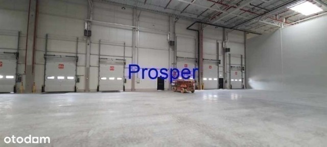 magazyn wysoki skład, dok, brama 0