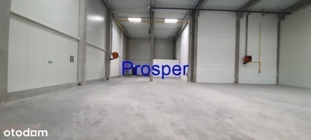 nowe hale/ brama 4,20 x4,20/ wys.8,40m