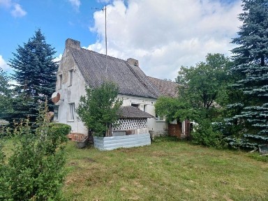 Dom w lesie, siedlisko,dzialka