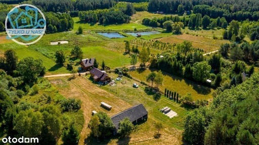 Siedlisko W Otulinie Lasów