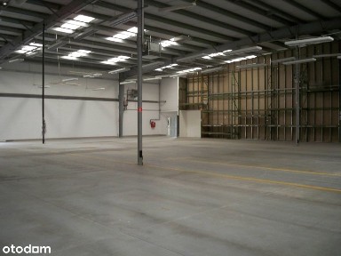 Magazyn/hala