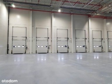 Hala/Magazyn, 2 700 m², Wrocław