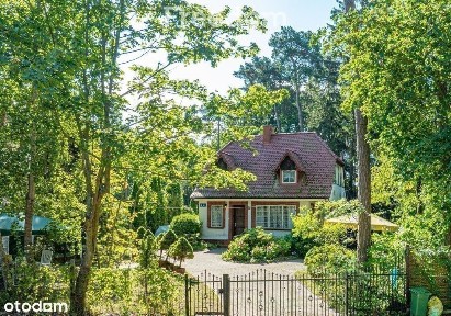 Dom w Krynicy Morskiej w sąsiedztwie lasu