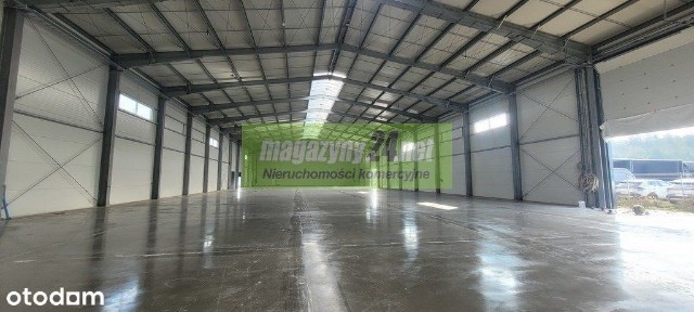 Magazyn do wynajęcia Płock