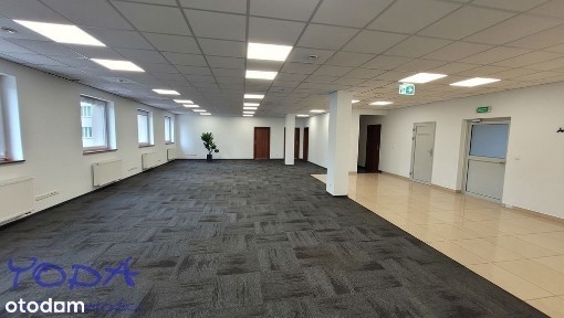 Śródmieście, Katowice, śląskie