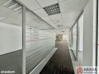 Idealna powierzchnia biurowa od 250 do 1300 m2.