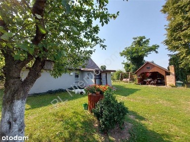 Siedlisko Jak Z Bajki, Miejskie Media, Komunikacja