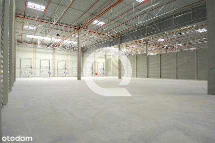 Powierzchnia magazynowa pod cross dock!