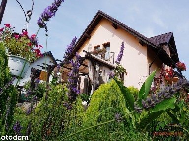 Jantar, Stegna, nowodworski, pomorskie