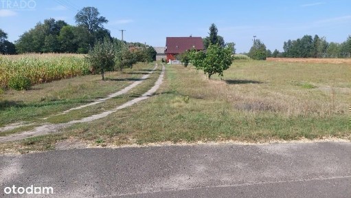 Gospodarstwo 6ha, Babiak, Krukowo