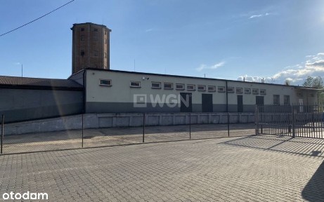 Lokal użytkowy, 590 m², Myszków