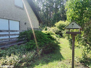 Stylowy i przytulny dom w zielonym zakątku. Cena do negocjacji Buczyna