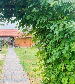 Parterowy dom w Wielbarku