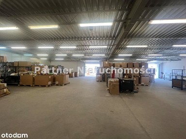 Mokre, Toruń, kujawsko-pomorskie