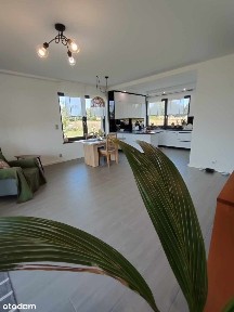 Gryfice, gryficki, zachodniopomorskie