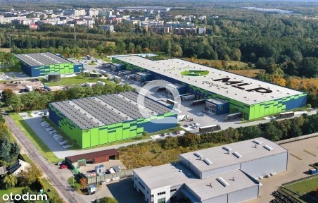 1000 mkw Łódź Widzew nowy magazyn