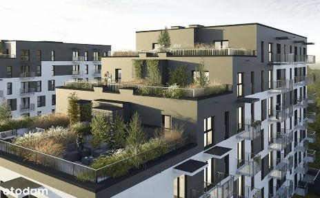 Wilkowyja/2 pokoje/balkon/super cena !