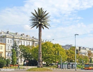 ul. Nowy Świat, Śródmieście Północne, Śródmieście, Warszawa, mazowieckie