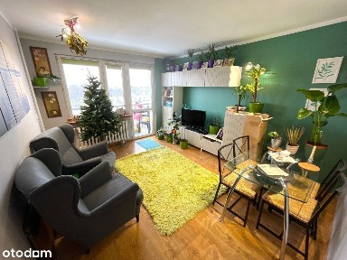 niezależne trzy pokoje Grunwald Poznań z widokiem