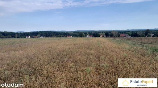 Atrakcyjne siedlisko blisko Jeziora Chańcza