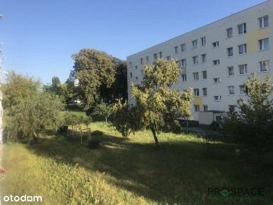 Mieszkanie 3 pokojowe w pożądanej lokalizacji