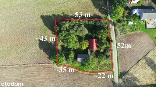 Ostrowite, Golub-Dobrzyń, golubsko-dobrzyński, kujawsko-pomorskie