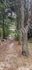 Dom do remontu z piękną działkę