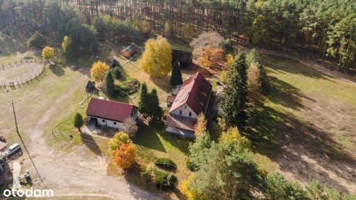Dom w lesie z gospodarstwem k. Nowego Tomyśla
